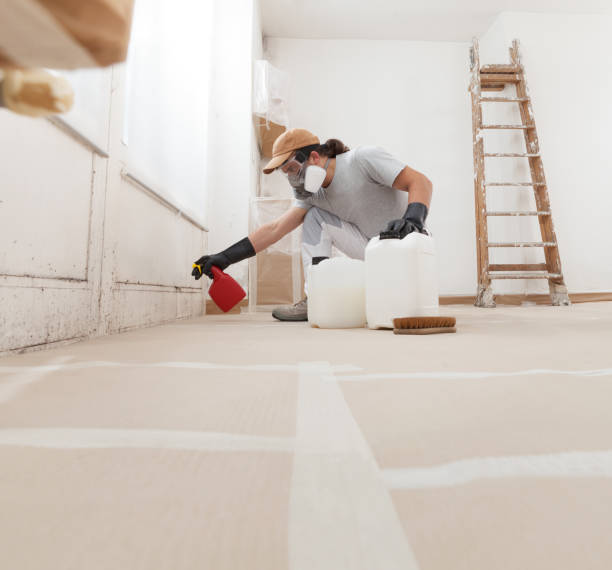 Best Biohazard Mold Removal  in North Pembroke, MA