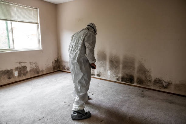 Best HVAC Mold Inspection and Cleaning  in North Pembroke, MA