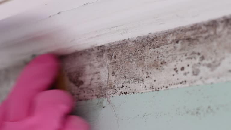 Best Post-Remediation Verification Testing  in North Pembroke, MA